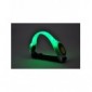 Smar.T - Banda LED  para correr y montar en bicicleta, para el brazo y la pantorrilla , color verde