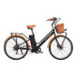 BIWBIK Bicicleta ELECTRICA Mod. GANTE BATERIA Ion Litio 36V12AH  GANTE Black HD 