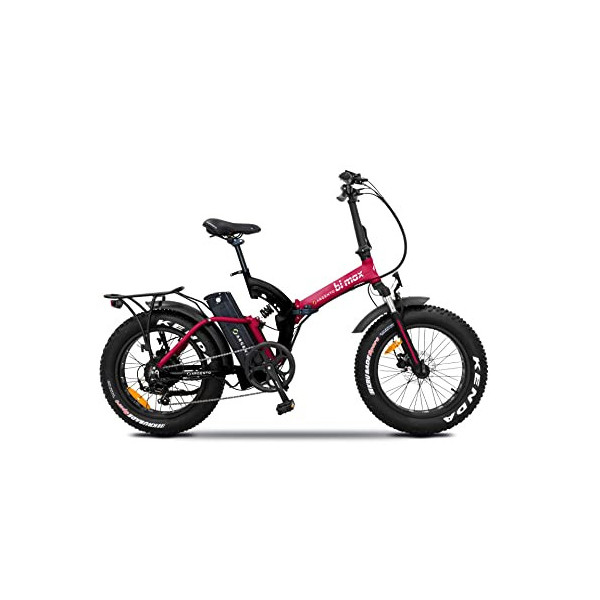 Argento Bi MAX Foldable E-Bike, Full Suspension, Ruote Fat 20" x 4, Freni a Disco, Motore 250W, Peso MAX Supportato 100 kg, B
