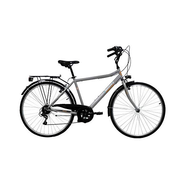 Discovery Denver 28 Trek - Bicicleta de Trekking Manhattan 28 Pulgadas, Cambio Shimano de 6 velocidades, Color metálico, Plat