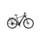 Fischer Terra 5.0i Hombre y Mujer | RH Bike con Motor Central 50 NM | Batería de 36 V en Marco, Bicicleta eléctrica ATB, Negr