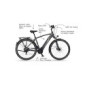 Fischer Viator 5.0i Ruedas urbanas, Trekking | Bicicleta eléctrica, Color Gris Pizarra Mate, Rahmenhöhe 55 cm