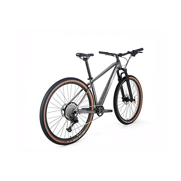 ICe Bicicleta de montaña MT10 Cuadro de Fibra de Carbono, Rueda 29, monoplato, 12V  Gris, 19 